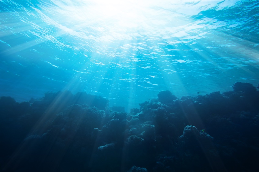 stillness below the ocean's surface